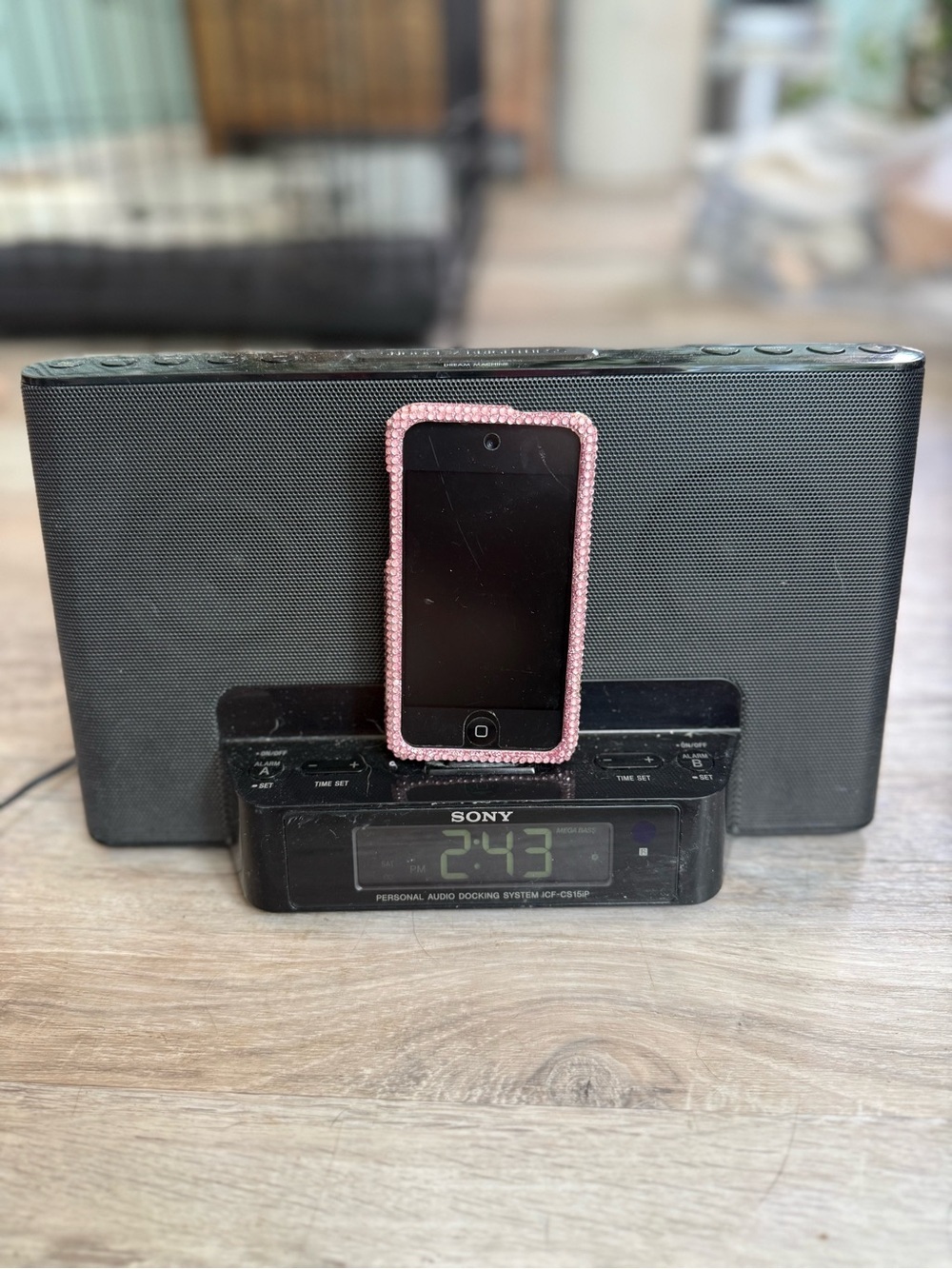 Sony Black Personal Audio Docking System with iPod Touch and Pink  Case
